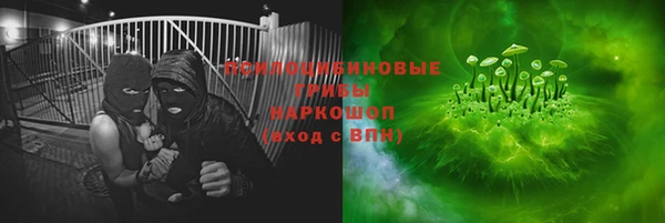 мдпв Лагань