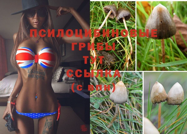 марихуана Лабытнанги