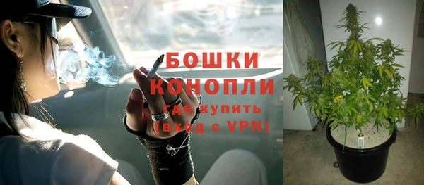 прущая мука Ладушкин